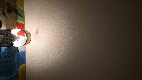 wizardmike421 online show from 11.19.25