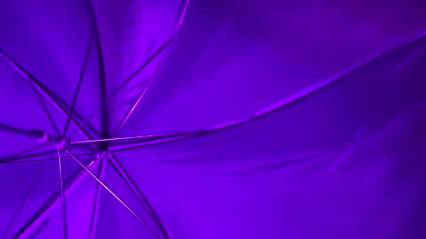 Wiz and Candy online show from 01.08.25