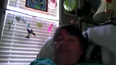 Snapshot of wldlife chatting on 05.28.26 wldlife online show from 05.28.26