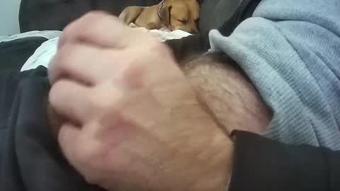 wmasolutions2020 online show from 03.16.26