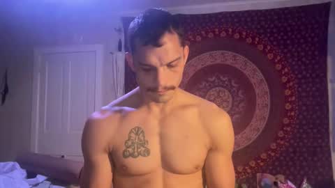 Wolfblazer online show from 01.28.25