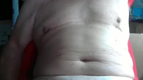 Snapshot of wolfoerl chatting on 11.11.25 wolfoerl online show from 11.11.25