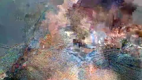 wolf boy online show from 02.02.26