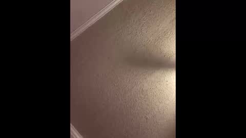 Woodpipe69 online show from 10.03.25