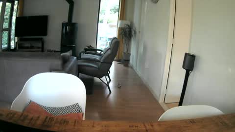 Snapshot of woodwurm chatting on 06.25.26 woodwurm and Snoeske online show from 06.25.26