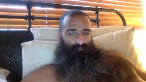 woof_wolf37 online show from 02.09.26