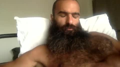woof_wolf37 online show from 05.02.26