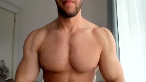Wolfie online show from 05.04.26