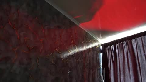 Woondeer online show from 02.02.26