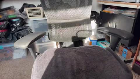 Snapshot of workplace_proximity_associate chatting on 01.26.25 workplace_proximity_associate online show from 01.26.25