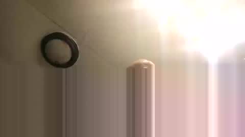 BONER DONOR online show from 02.26.26