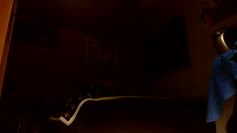 Snapshot of wvuguy1986 chatting on 03.08.26 wvuguy1986 online show from 03.08.26