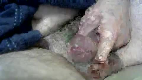 Charles online show from 03.11.25