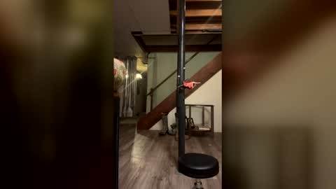 wyattmcc32288 online show from 03.02.26