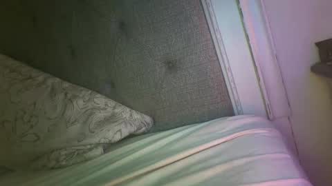 Snapshot of x_dreamgirl_x chatting on 11.27.25 Mariah online show from 11.27.25