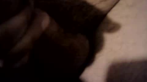 xdreamer online show from 03.17.26