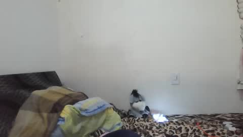 Snapshot of xime5144838 chatting on 02.23.25 Ximena online show from 02.23.25