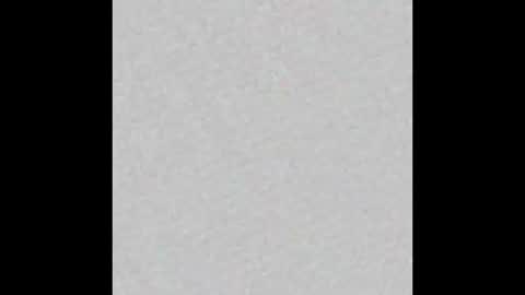 JSSD online show from 02.20.26