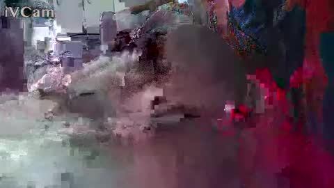 Snapshot of xxilikeassxx chatting on 02.13.26 xxilikeassxx online show from 02.13.26