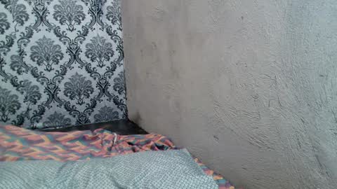 Windy online show from 12.23.24