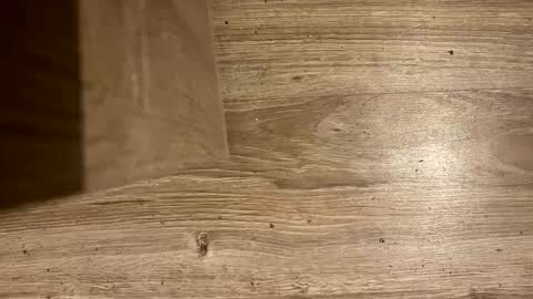 Antonio del Pa ero online show from 03.08.26