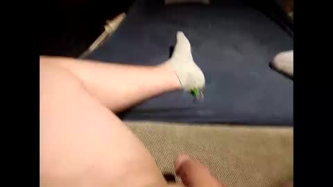 Antonio del Pa ero online show from 03.19.26