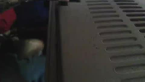 Sean online show from 05.16.26
