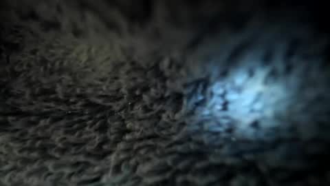 Danielle online show from 01.05.25