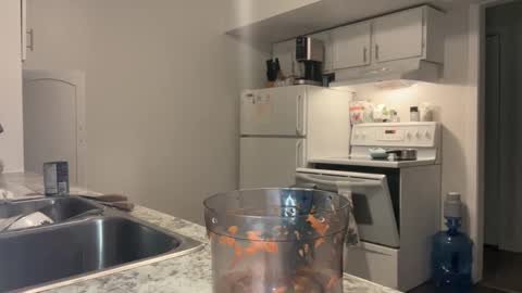 Snapshot of xyleialuv chatting on 02.22.25 Xylea Luv online show from 02.22.25