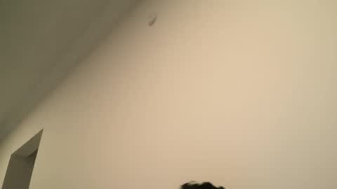 Snapshot of yacout87 chatting on 02.15.25 Dick Ass online show from 02.15.25