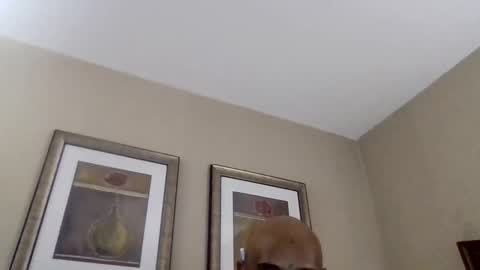 YallFav0rit3couple online show from 04.08.26