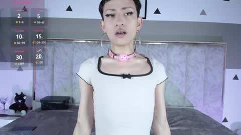 YANG online show from 06.08.26