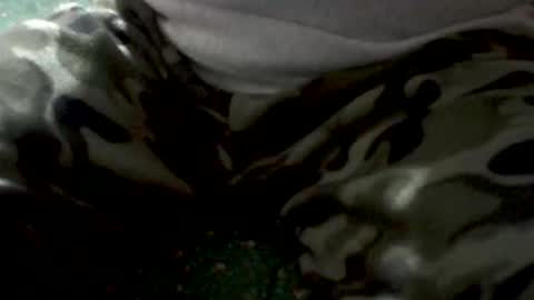 Snapshot of yankee85 chatting on 02.01.26 Yankee online show from 02.01.26