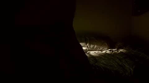 Snapshot of yaradeeyarama chatting on 02.08.26 yaradeeyarama online show from 02.08.26