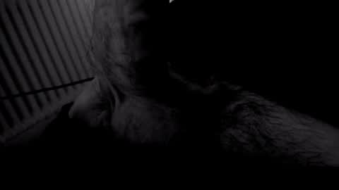 yeasayer online show from 11.02.25