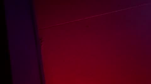 Snapshot of yelladaniella chatting on 12.01.25 Ella Ts online show from 12.01.25