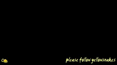 .     y e l l o w s n a k e s       . online show from 02.08.26