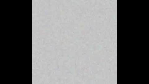 .     y e l l o w s n a k e s       . online show from 03.04.26