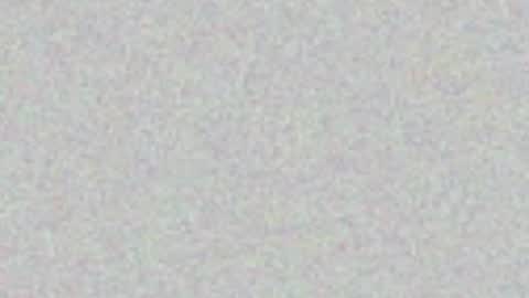 .     y e l l o w s n a k e s       . online show from 07.08.26