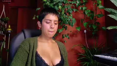 yeriawaddell  online show from 06.10.26