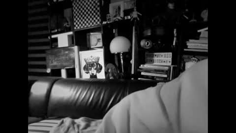 yessex247 online show from 02.19.26