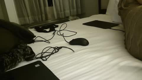 Snapshot of yessimua chatting on 02.12.25 CUMONURFACE online show from 02.12.25