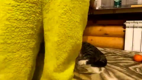 Snapshot of your_cute_friend chatting on 12.31.24 Fansly online show from 12.31.24