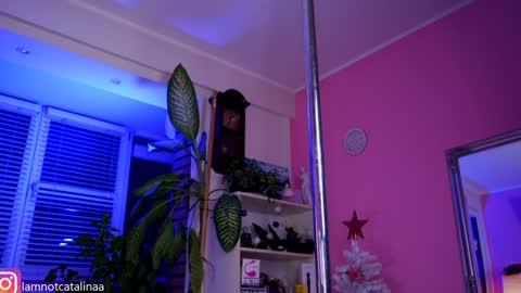 YourBabyPearl online show from 01.07.25