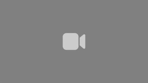Ollie online show from 06.29.26