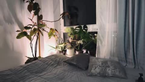 Aida online show from 03.08.25