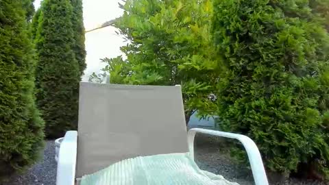 Jacky online show from 06.11.26