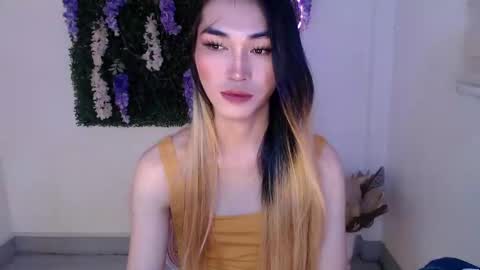    online show from 02.15.25