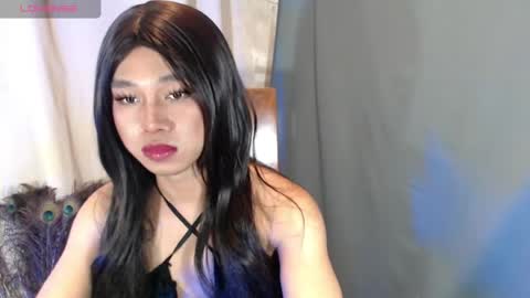 Stella online show from 05.01.26