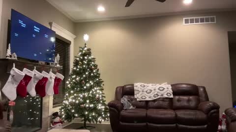 yourstrulylivy online show from 12.11.24